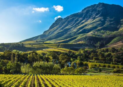7 Unforgettable Road Trips Around South Africa’s Wine Country in a Campervan
