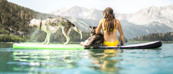 Master the Waves: FAQs for Stand-Up Paddleboarding Enthusiasts
