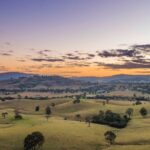 "Exploring the Australian Wine Country: A Road Trip Adventure"