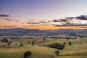 "Exploring the Australian Wine Country: A Road Trip Adventure"